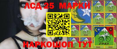 амф Волгодонск