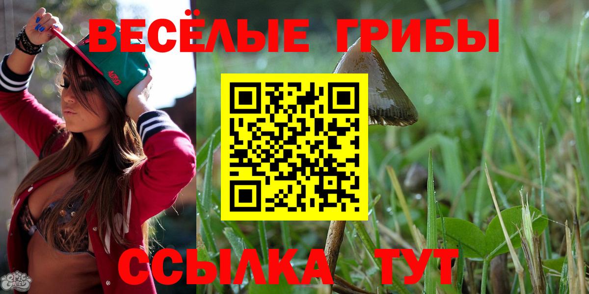 Галлюциногенные грибы Cubensis Брянск