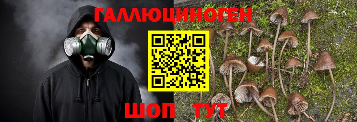 Псилоцибиновые грибы Cubensis  Вход с VPN  цены наркотик  Брянск 
